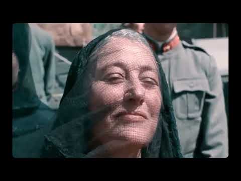 Top Five sobre la programación del BAFICI