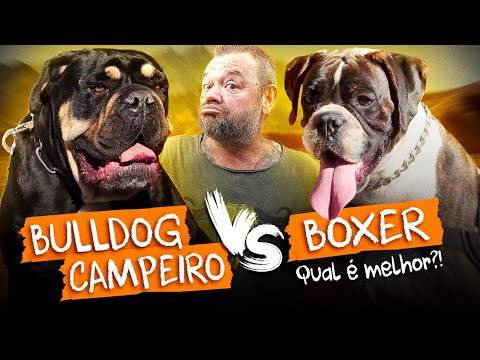 Vídeo 3