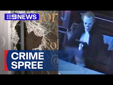 Business owners left shaken after overnight crime spree | 9 News Australia