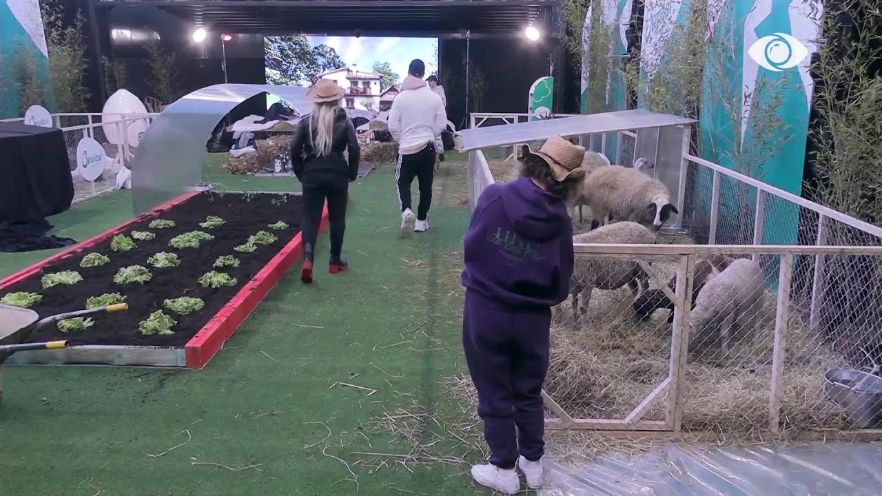 Rrezikon të ulet çmimi i madh/ Egla kërkon të lërë fermën, banorët përballë zgjedhjes