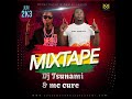 Zendiambo X Dj Tsunami Reggae Mix 2023