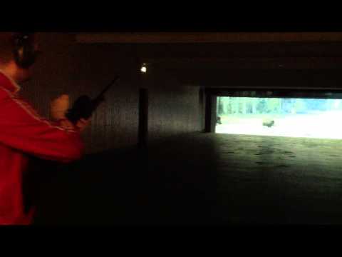 Schießkino MSZU Schwarzwild