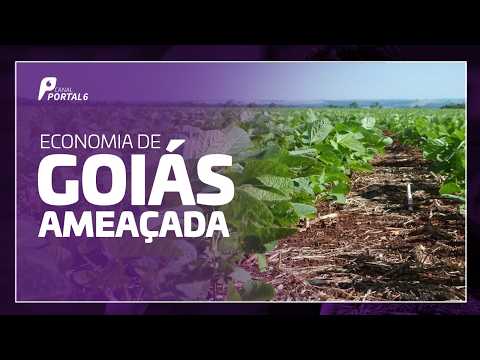 Nova tarifa de 25% estudada pelos EUA acende alerta em Goiás
