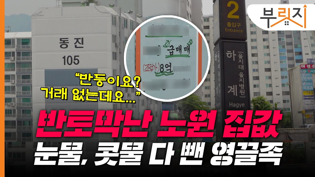 [부릿지CHECK]"그만 떨어져라 제발..." 절망만 남은 영끌족의 성지 '노원구'