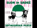 Slon in Sadež - Mestni Redar 