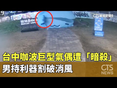 台中咖波巨型氣偶遭「暗殺」　男持利器割破消風