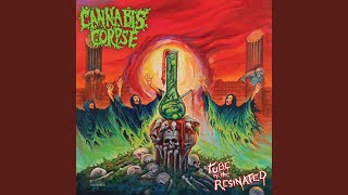 Fucked with Nothern Lights