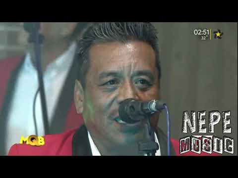 Ay Mariposa | ILUSION TROPICAL