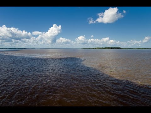 Integração Nacional - Homologação de tombamento do encontro dos rios Negro e Solimões – 10/11/2021