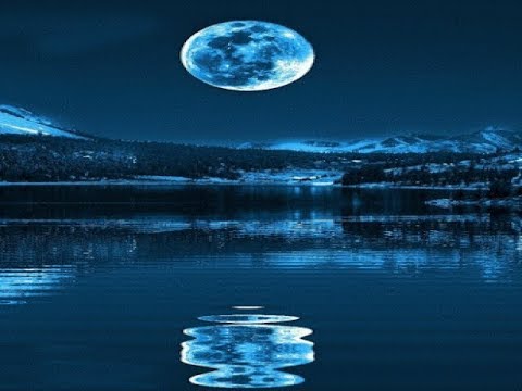 YOU ARE LOVE (TOUJOURS GAI, MON CHER) - Janis Ian / Lyrics