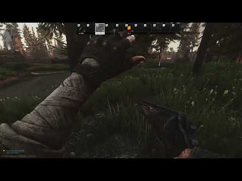 Friendly scav/PMC Co-Op extract + LOOT