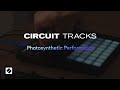 Circuit Tracks - Photosynthetic Performance // Novation