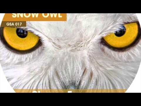 Stanny Franssen - Snow Owl (Original Mix)