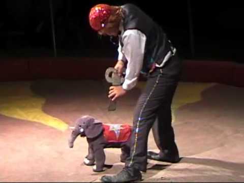 download lagu mp3 mp4 Baby Elephant Circus, download lagu Baby Elephant Circus gratis, unduh video klip Baby Elephant Circus