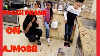 Cockroaches in AJ MOBB&#39;s new mansion prank (EXTREMELY FUNNY)