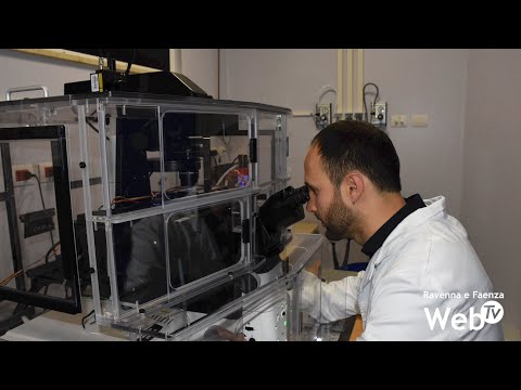 La ricerca nella cura dei tumori del faentino Filippo Piccinini candidata per un prestigioso premio