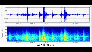 Yellowstone Swarm near Norris Basin, Strange Nationwide Vibration Returns Quite Strong