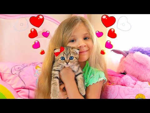 Diana and her Quarantine Morning Routine with Kitten