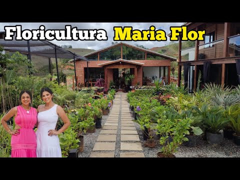 FLORIST ARCHITECTURE COMPLETE ENVIRONMENT