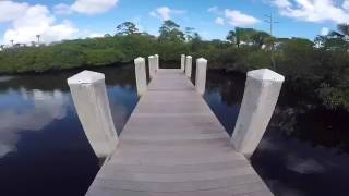 If only I could live forever...