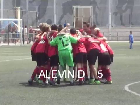 ALEVIN D - ZAFRANAR B