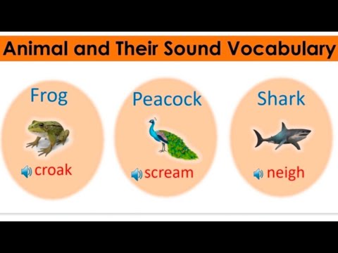 100 Animals and Their Sounds in English 100 Animals and Their Sounds in English