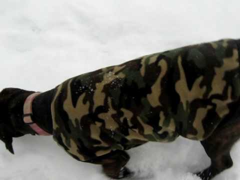 2/2/2010 snow and Lib