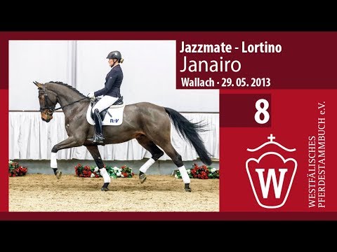 08 Janairo Wallach v. Jazzmate - Lortino