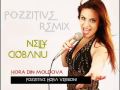 Nelly Ciobanu - Hora din Moldova (Pozzitive Hora ...