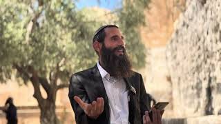 ראש השנה בהר הבית! • מזמור צח | הרב אלישע וולפסון (ישיבת הר הבית) - התמונה מוצגת ישירות מתוך אתר האינטרנט יוטיוב. זכויות היוצרים בתמונה שייכות ליוצרה. קישור קרדיט למקור התוכן נמצא בתוך דף הסרטון ראש השנה בהר הבית! • מזמור צח | הרב אלישע וולפסון (ישיבת הר הבית) - התמונה מוצגת ישירות מתוך אתר האינטרנט יוטיוב. זכויות היוצרים בתמונה שייכות ליוצרה. קישור קרדיט למקור התוכן נמצא בתוך דף הסרטון