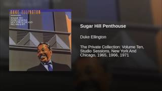 Sugar Hill Penthouse