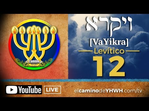 Levítico 12 (VaYikra) [ויקרא] {La Purificación de la que da a luz}
