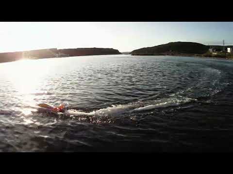 Lancha Wltoys l913 BEP RC