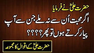 Collection Of Hazrat Ali Quotes in Urdu  Hazrat Al