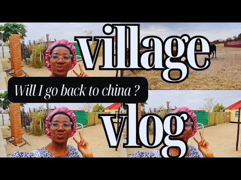 Algum dia voltarei para a China ~ Village Vlog na Namíbia,Comendo areia, porcos, galinhas na aldeia.