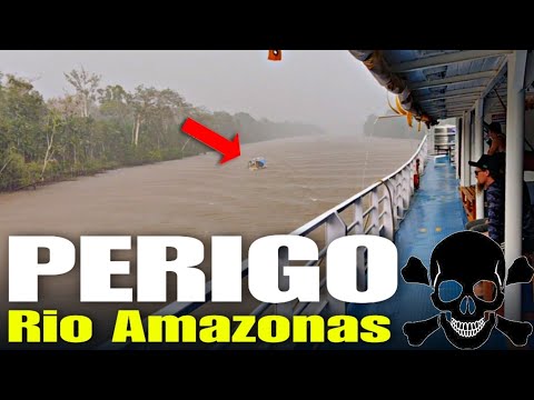 INACREDITÁVEL 😨 PERIGO MORTAL! SE NÃO FILMA NINGUÉM ACREDITA VIAGEM DE BARCO AMAZÔNIA SELVAGEM 