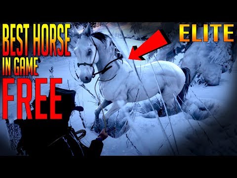 BEST HORSE in Game! Free! Red Dead Redemption 2 | How to get Elite Horses!