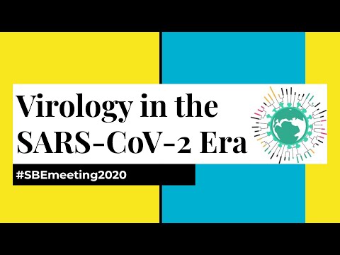 SBE Meeting - Virology in the SARS-CoV-2 era (Part 2)