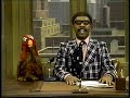 Sesame Street A Word From Your Local Chicken