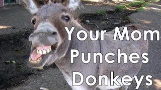 Your Mom Punches Donkey!