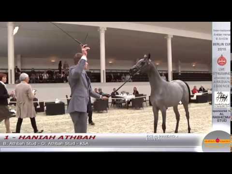Berlin Cup 2015 - Fillies 1 year old - Class 3A