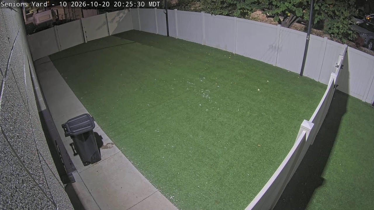 Vista en directo de la webcam Patio Exterior Sénior de DogMode