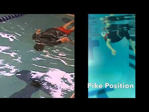 Surface Dives for Beginners #swimmingtips