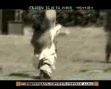 Festivalul Dacic de la Cricau, judetul Alba 2008