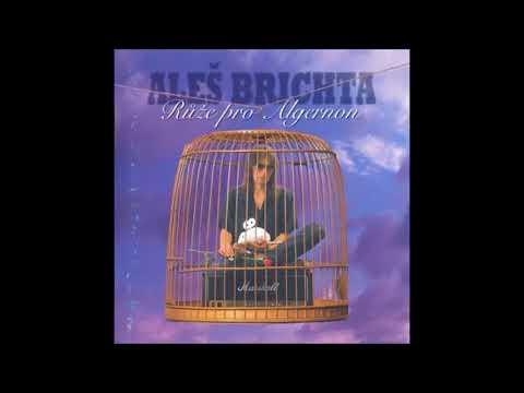 Aleš Brichta - Kámoš dost fajn