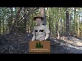 45 Foot Tall Cryptid In Woodlands National Park I 1975 Found Footage Tape