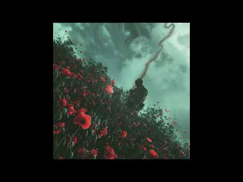 Noisecream - Thin Distance