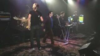 Bite the Wax Tadpole