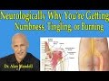 Neurologically Why You're Getting Numbness,Tingling, or Burning in Arms or Legs - Dr Mandell