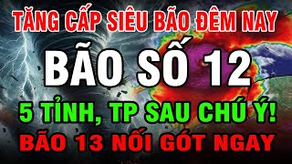 Download the video "KHẨN CẤP! BÃO SỐ 12 TĂNG CẤP LAO THẲNG VỀ VIỆT NAM! – 5 TỈNH SẮP MƯA CỰC LỚN!"
